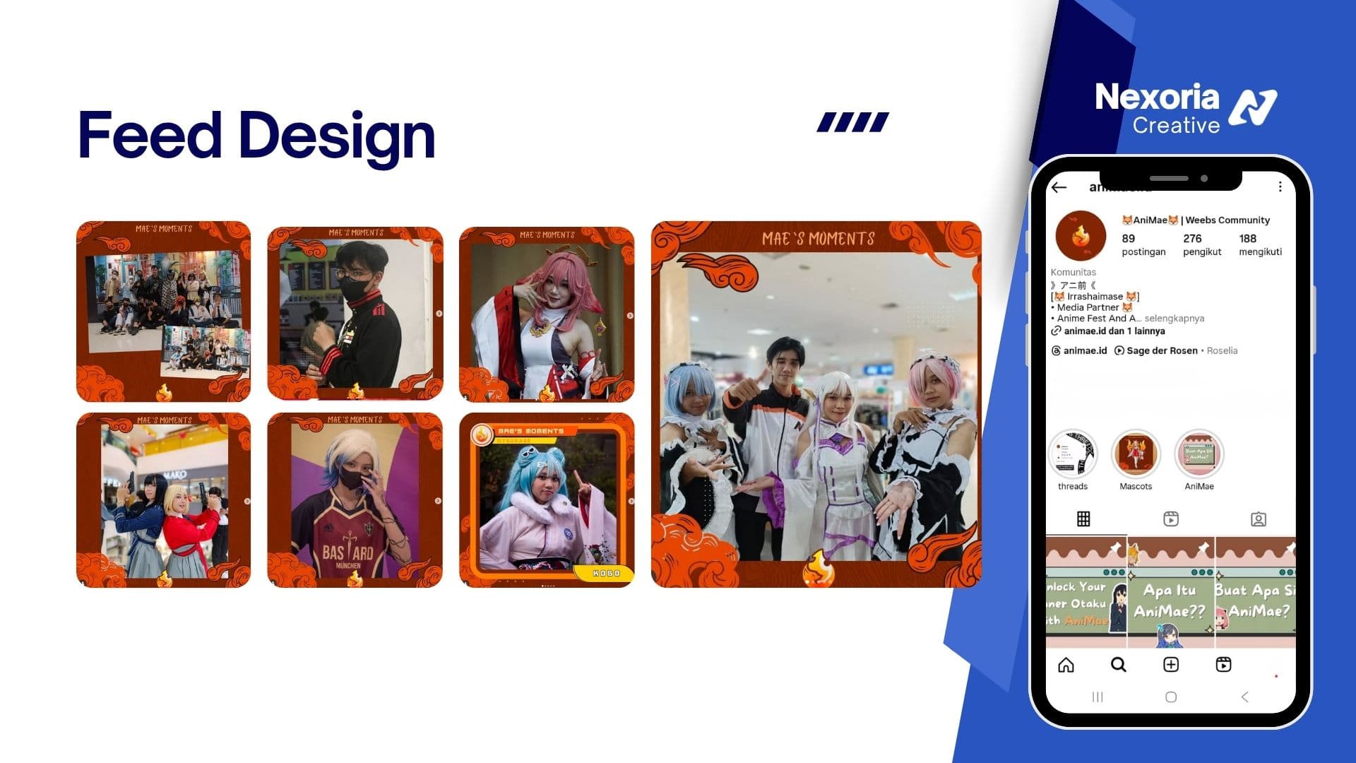 Animae Instagram Feed